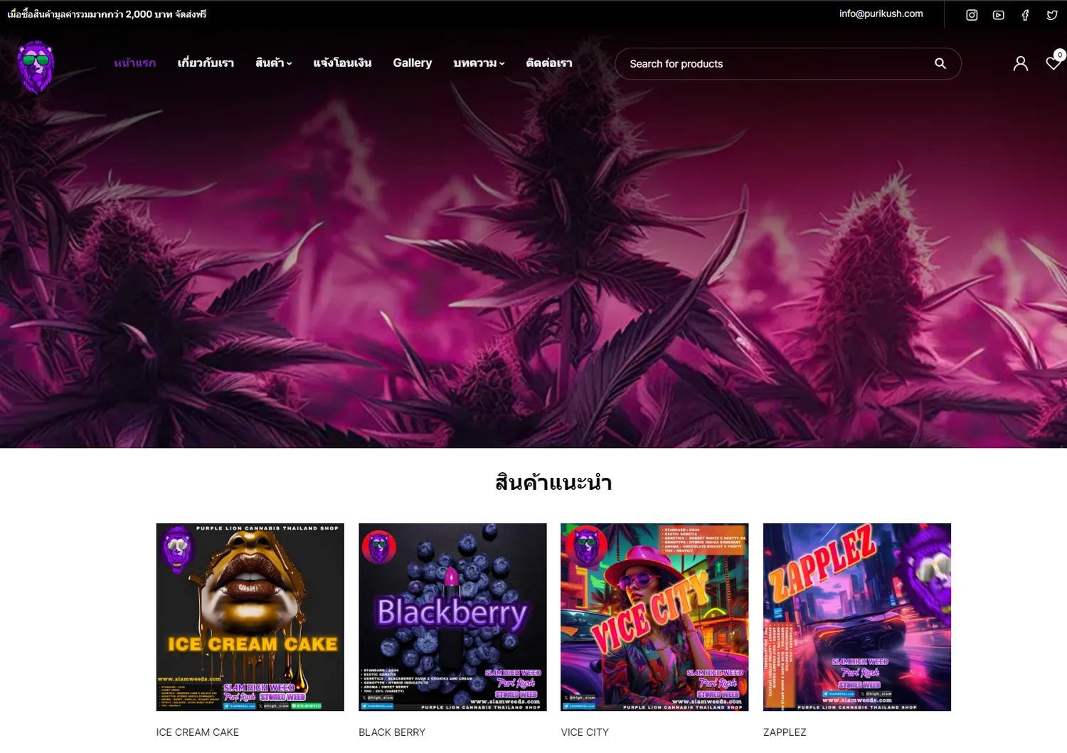 อีคอมเมิร์ซ - E-Commerce